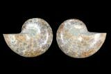 Cut & Polished Ammonite (Anapuzosia?) Pair - Madagascar #88015-1